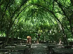 interiér kostela ze zapojených a olistěných vrbových větví, s lavicemi a oltářem