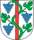 Weinfelden – znak