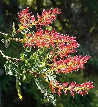 alternativní popis obrázku chybí