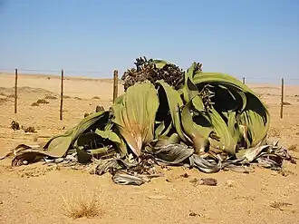 alternativní popis obrázku chybí