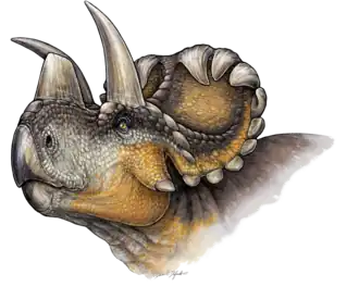 alternativní popis obrázku chybí