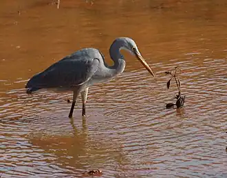 alternativní popis obrázku chybí