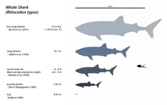 alternativní popis obrázku chybí