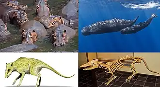 alternativní popis obrázku chybí