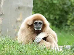 alternativní popis obrázku chybí