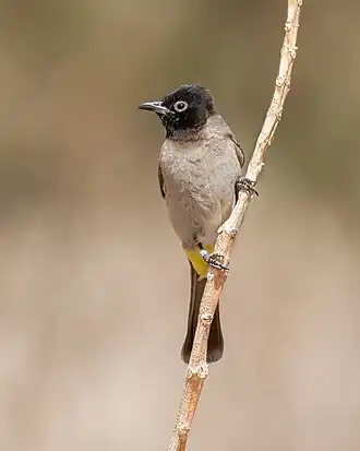 alternativní popis obrázku chybí