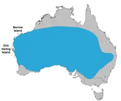 Výskyt modropláštníka bělokřídlého