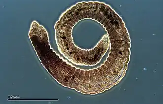 alternativní popis obrázku chybí