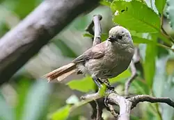 alternativní popis obrázku chybí