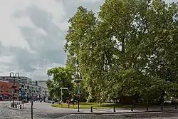 Parková úprava náměstí