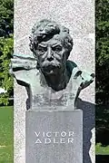 Victor Adler, Vídeň