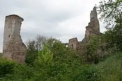 Zřícenina hradu