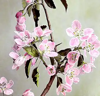 alternativní popis obrázku chybí