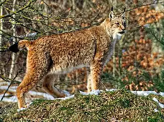 alternativní popis obrázku chybí