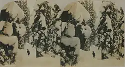 Winter scene, Glacier, British Columbia