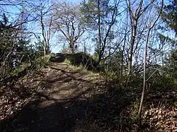 Skála, na které mohl hrad stávat