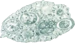 alternativní popis obrázku chybí