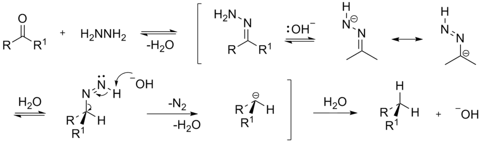 The mechanism of the Wolff-Kishner reduction