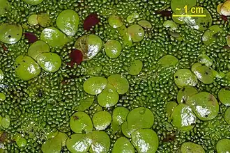 alternativní popis obrázku chybí