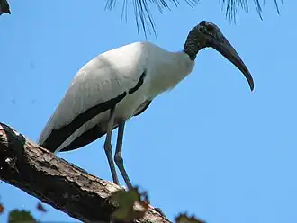 alternativní popis obrázku chybí