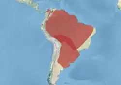 Areál rozšíření