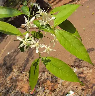 alternativní popis obrázku chybí