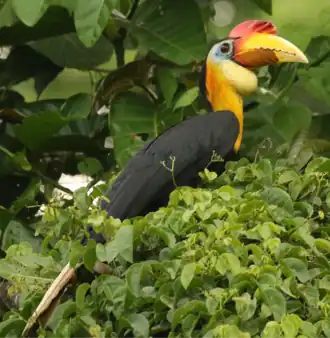 alternativní popis obrázku chybí