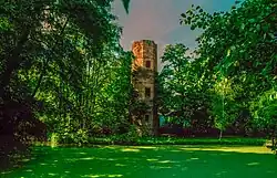 Pozůstatky zámku Grodzieckých ve Wyszyně