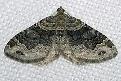 alternativní popis obrázku chybí