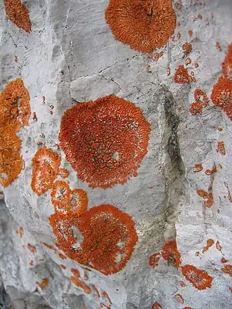 alternativní popis obrázku chybí