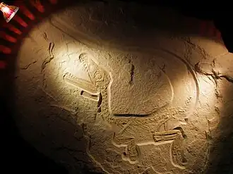 alternativní popis obrázku chybí