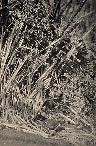 popis obrázku chybí