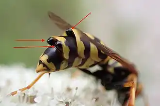 alternativní popis obrázku chybí