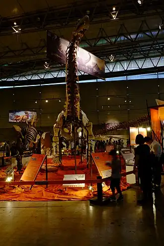 popis obrázku chybí