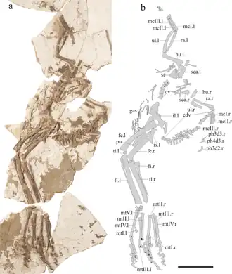 alternativní popis obrázku chybí
