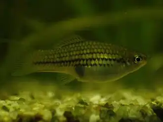 alternativní popis obrázku chybí