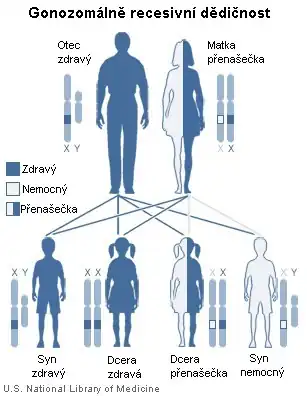 X-linked recessive inheritance