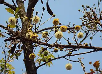 alternativní popis obrázku chybí