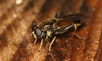 alternativní popis obrázku chybí