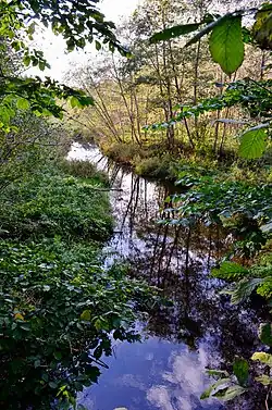 Yžnė u Gedminiškė