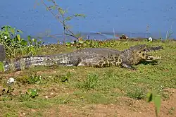 alternativní popis obrázku chybí