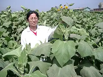 alternativní popis obrázku chybí