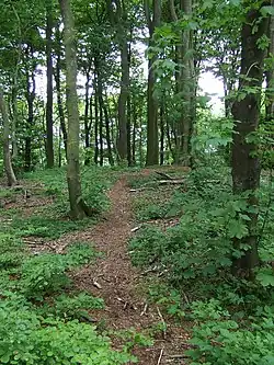 Mohyla na vrcholu Yding Skovhøj