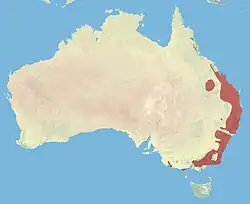 Areál rozšíření