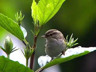 alternativní popis obrázku chybí