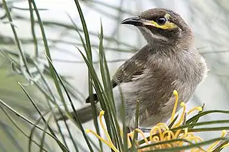 alternativní popis obrázku chybí