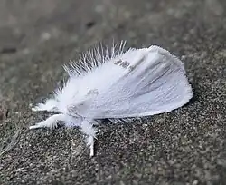 alternativní popis obrázku chybí