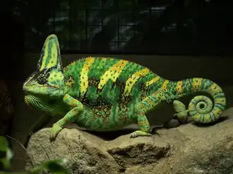 alternativní popis obrázku chybí