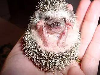 alternativní popis obrázku chybí