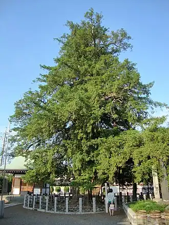 alternativní popis obrázku chybí